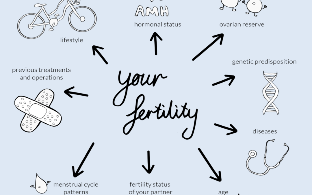 What is the best way to optimise my fertility?